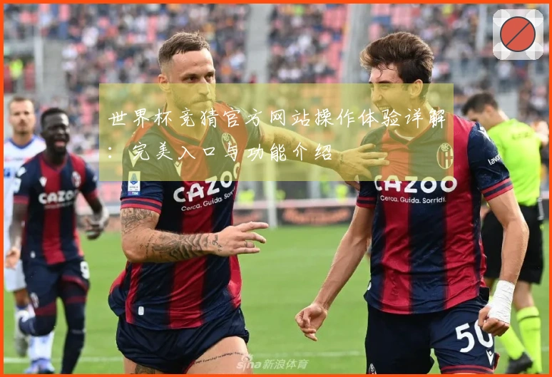 世界杯竞猜官方网站操作体验详解：完美入口与功能介绍