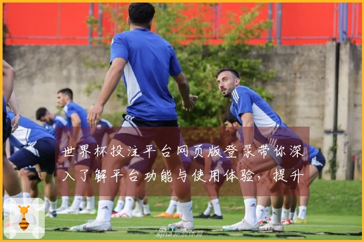 世界杯投注平台网页版登录带你深入了解平台功能与使用体验，提升观看乐趣