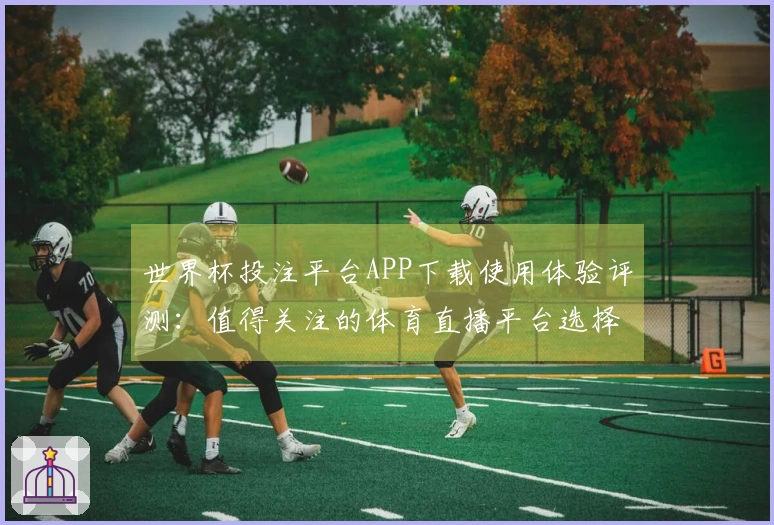 世界杯投注平台APP下载使用体验评测：值得关注的体育直播平台选择