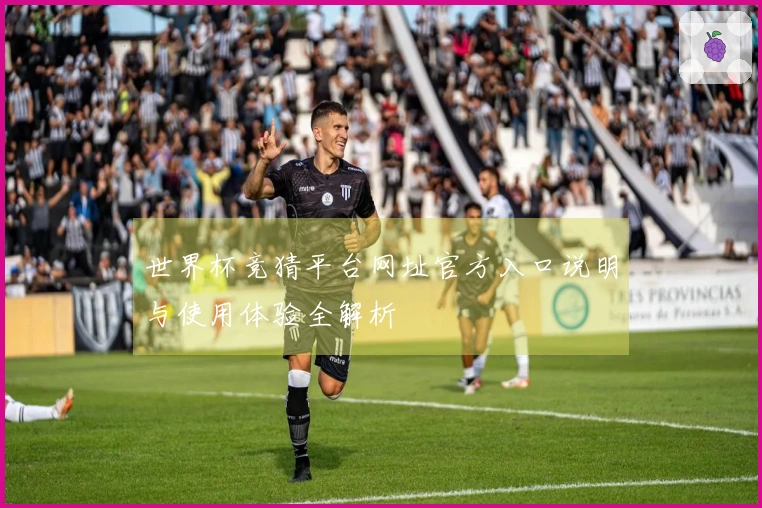 世界杯竞猜平台网址官方入口说明与使用体验全解析