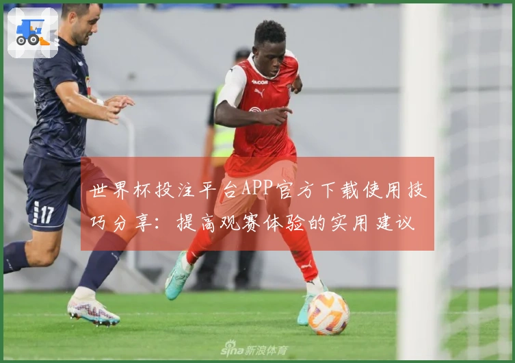 世界杯投注平台APP官方下载使用技巧分享：提高观赛体验的实用建议