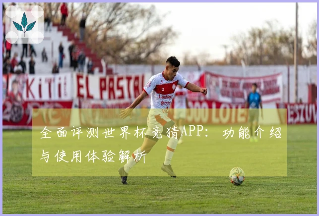 全面评测世界杯竞猜APP：功能介绍与使用体验解析