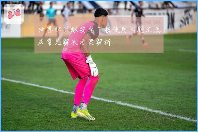 世界杯买球安卓下载使用问题汇总及常见解决方案解析