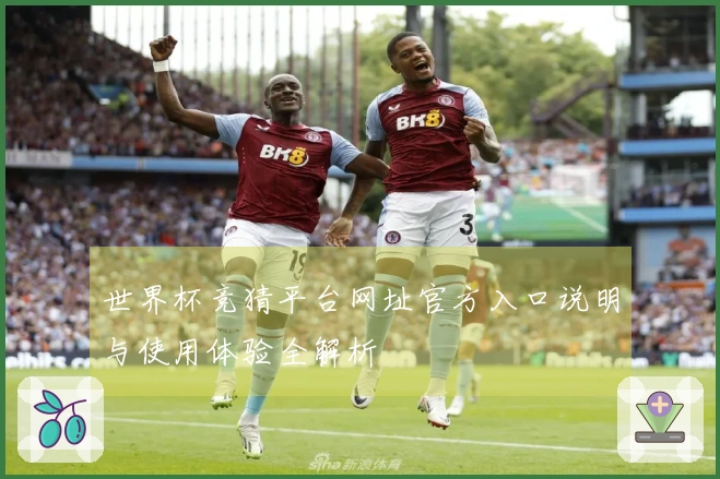世界杯竞猜平台网址官方入口说明与使用体验全解析