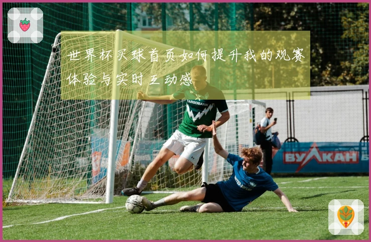 世界杯买球首页如何提升我的观赛体验与实时互动感