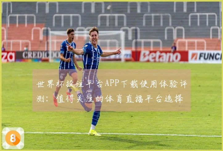 世界杯投注平台APP下载使用体验评测：值得关注的体育直播平台选择