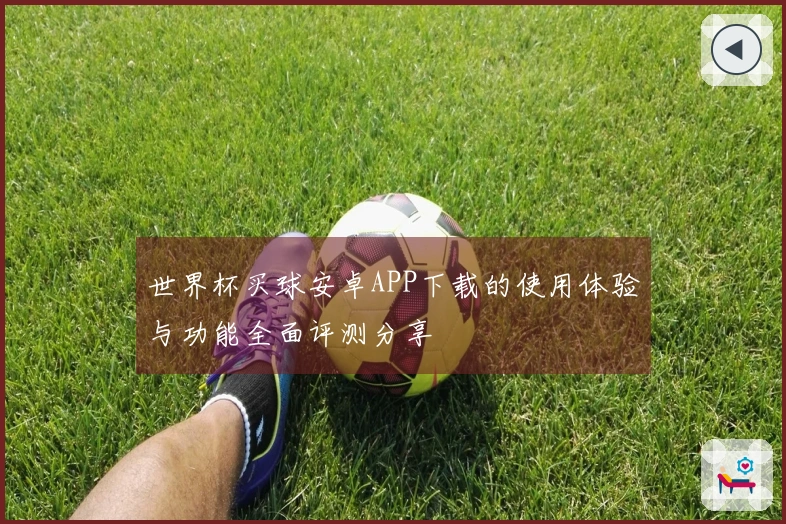 世界杯买球安卓APP下载的使用体验与功能全面评测分享